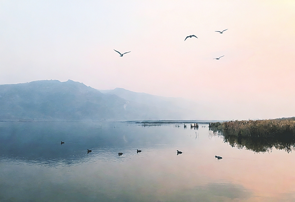 영제 습지, 2만 마리 이상의 겨울철 수조류 맞이